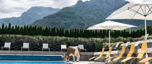 Sie können das KUHOTEL by Rilano jetzt bereits ab 0.00 EUR p.P. buchen