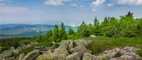 Sie können das Romantik Hotel Alte Münze jetzt bereits ab 69.00 EUR p.P. buchen