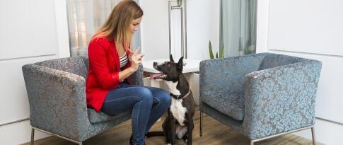 Sie können das Atrium Fashion Hotel Budapest jetzt bereits ab 52.00 EUR p.P. buchen