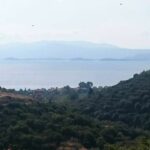 Reise: 4* Bomo Assa Maris in Agios Nikolaos ab 535€ p.P.